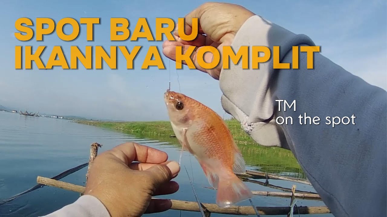 SPOT BARU IKANNYA KOMPLIT, MANCING WKO