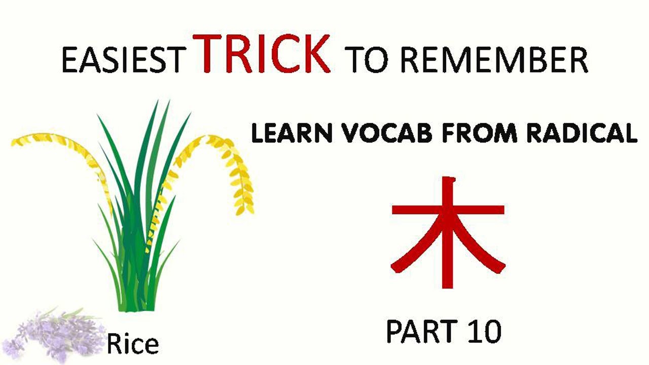 How to remember 米 - Mǐ | Learn chinese vocabulary from Tree - 木 radical ...