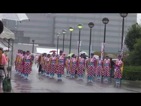 よさこい鳴子連　今日一屋（ゑえじゃないか祭り2013）