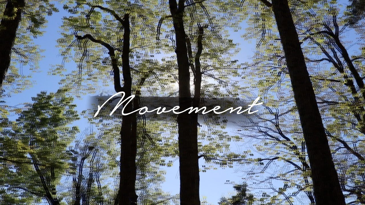 Movement Short Video MOVEMENT - short cinematic film | canon 80d - YouTube