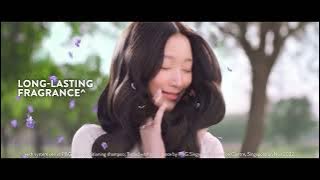 NEW: Rejoice 3-in-1 Korean Series!