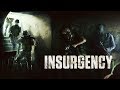 Insurgency