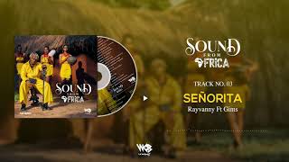 Video thumbnail of "Rayvanny Ft GIMS - Señorita (Official Audio)"