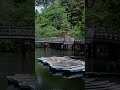 3 Beautiful Places to Visit in Nara in Early Summer 🌿🇯🇵