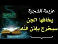 عزيمة الشجره للعلاج من السحر وسحب العوارض والعلاج الروحاني من القرآن الكريم مكتوبة 