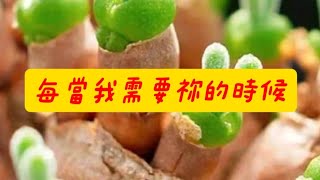 #豬豬的窩 #詩歌 #聖歌 #兒歌 #基督教音樂 #敬拜歌曲 #讚美詩 #讚美詩歌 #讚美操 #泥土音樂 #讚美之泉 #敬拜讚美 #敬拜詩歌 #音樂 #詩歌之王 #music #song #原創 #歌