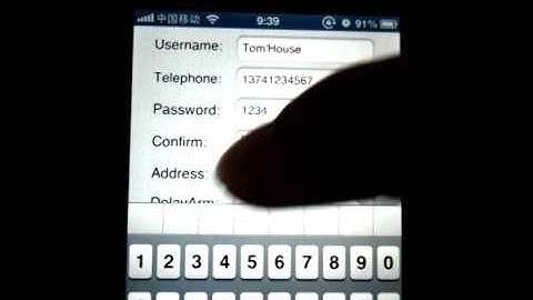 iOS &Android APP-iPH remote control the GSM alarm system/Wireless Alarm System