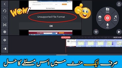 Unsupported File Format Kine master | Kine master file format problem | Kine master 2023 | Problem