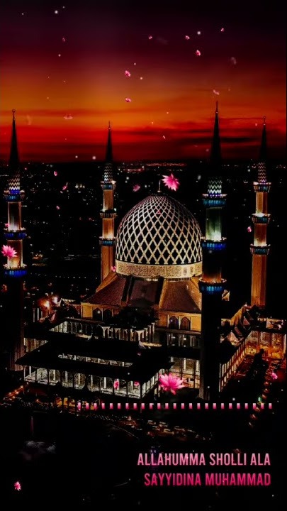 Whatsapp Status Video | Status WA Sholawat | Story WA Sholawat