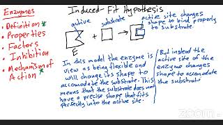 Cape biology unit 1: Enzymes Part 3: Induced-Fit Hypothesis #capebiology #alevelbiology #enzymes
