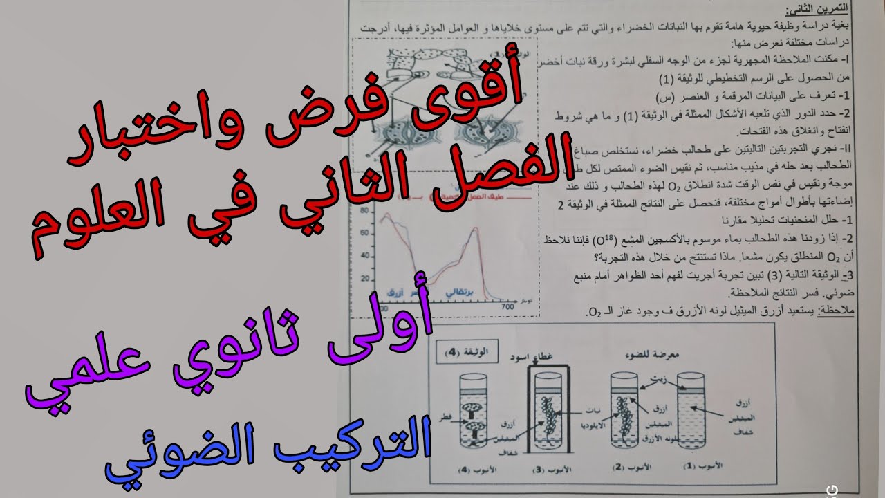 أقوى فرض واختبار الفصل الثاني في العلوم الطبيعية للسنة الأولى ثانوي علمي حول التركيب الضوئي