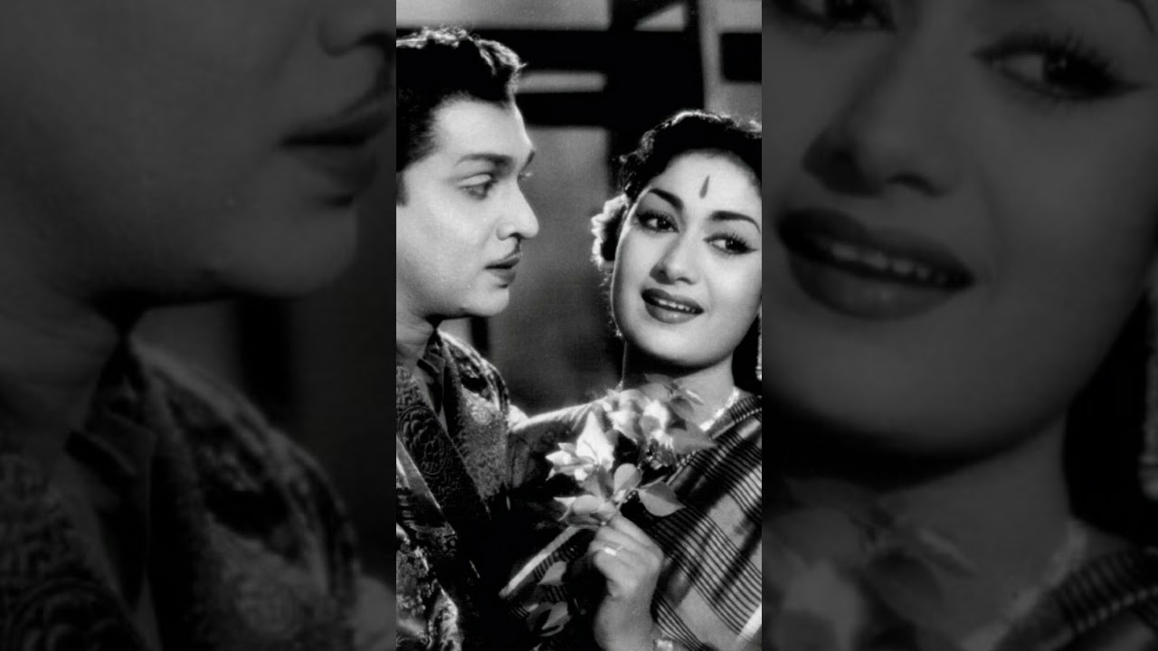 anr savitri melody songs||