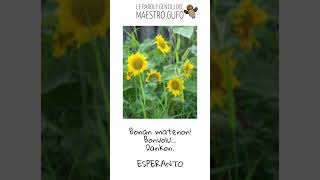 MG Le parole gentili   ESPERANTO