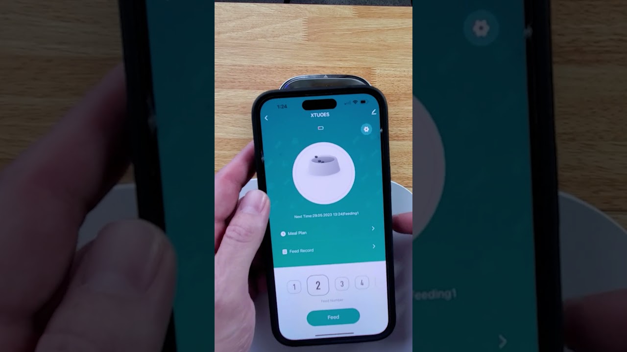 XTUOES Automatic Cat Feeder | To Buy Or Not To Buy