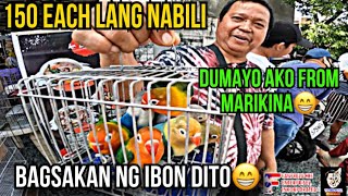 MALABON PET MARKET UPDATE| BAGSAKAN NG MURANG IBON SA METRO MANILA DINAYO NG TAGA MARIKINA! vlog#807