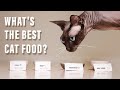 What's the best cat food?