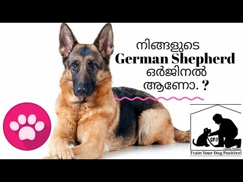 Confirm Deutsch Confirm Deutsch