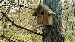 Caseta para pájaros