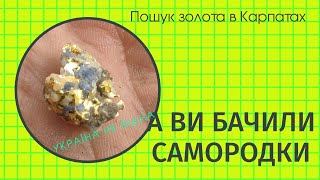 Золото Карпат/Search for gold in Ukraine