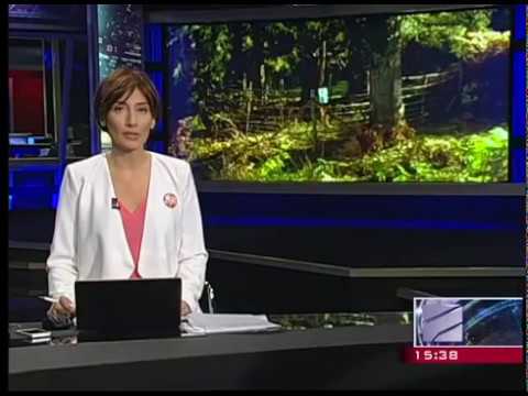 ბირთვული და რადიაციული უსაფრთხოების წარმომადგენლები დაბა ანასეულში