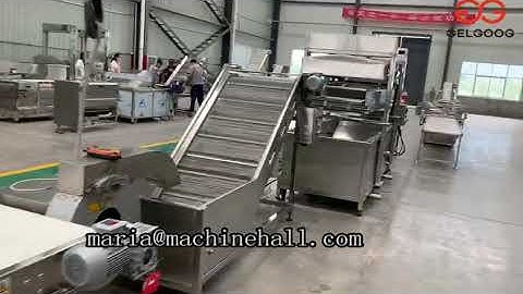 Factory Video Of The Continuous Snack Food Frying Machine Line @gelgoog.com