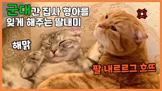 Benny is busy with his daughter Berry. But that's why he's happy 😻 by 베니패밀리 Benny Family 37,002 views 1 year ago 8 minutes, 10 seconds