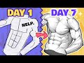 LEARN TO DRAW ANATOMY IN 7 DAYS! 💪 (exercises   schedule)