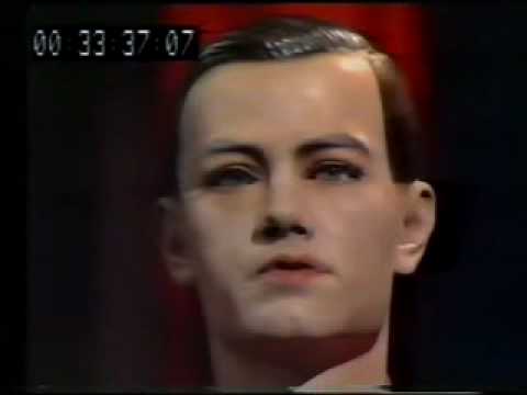 The Model - KRAFTWERK (Robot Remix)