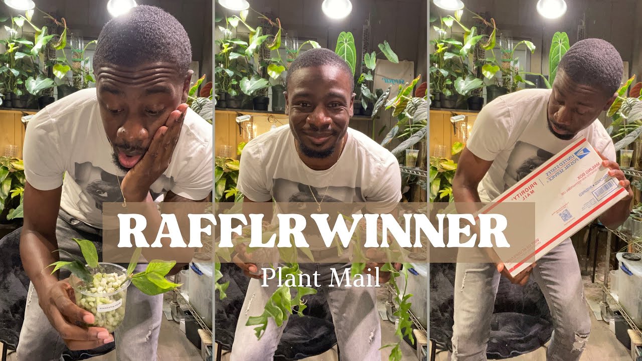 1K Raffle Winner | Plant Mail IG @ Afrobohome 🥺🙌🏾 ️🪴 - YouTube