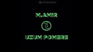 M.AMIR - Uzum pomere / LYRICS VIDEO / Pomere Sozen