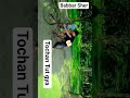 please subscribe karo bhai Rohan Tut gya ❤️ #automobile