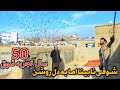 شوقی و سخن از شوق 50 سال تجربه متفاوت از کفتر های پرشی      