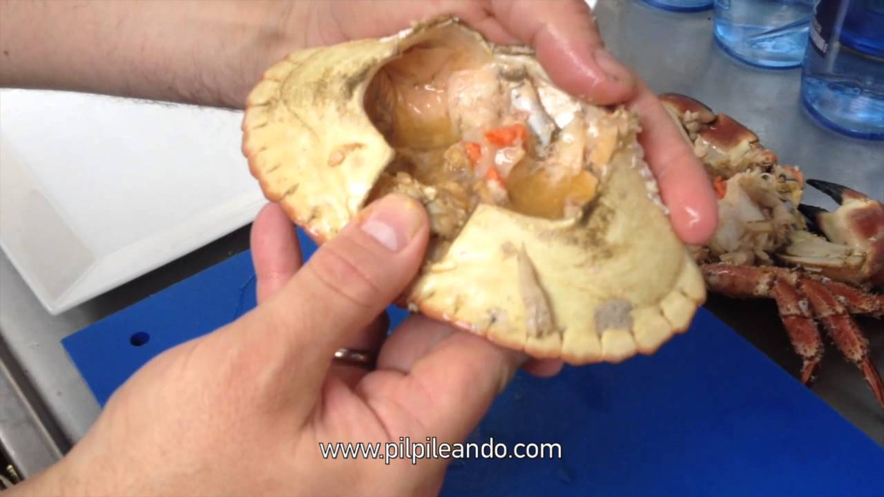 CÓMO ABRIR UN BUEY DE MAR ó Cangrejo FÁCILMENTE y Presentarlo (emplatado) - GUILLE RODRIGUEZ