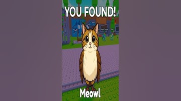 How to Find Meowl 🔥 Find the Brainrot