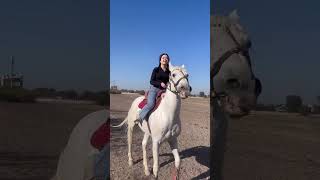 #жылдыздар #звезда #хит #бизжолуктук #шоу #девушка