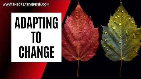 Adapting To Change With Jessie Kwak