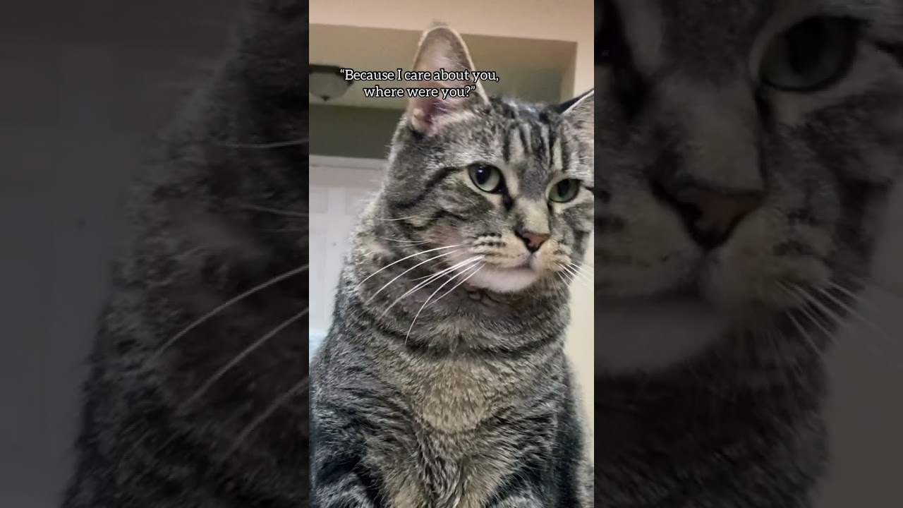 Penny has sneaked out 