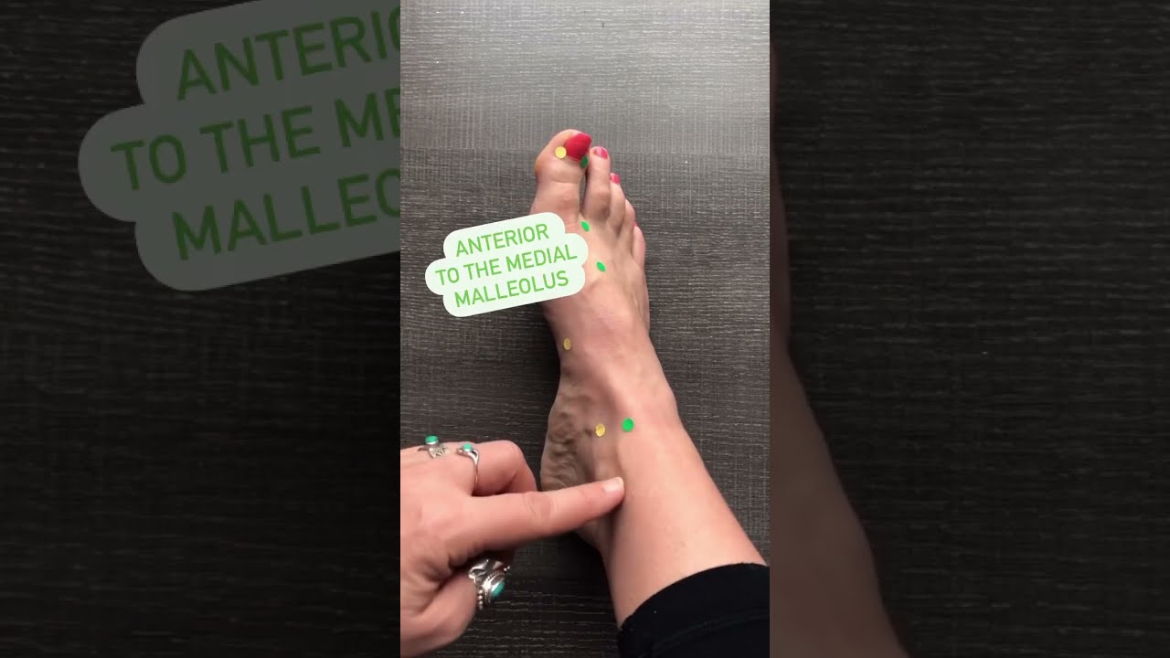 Acupuncture Points Location Liver 1 To 4 Acupuncturepoints