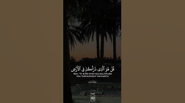 #سورة_الملك #سالم_السالم #يوتيوب #قرآن #راحة_نفسية #تلاوة_خاشعة #quran