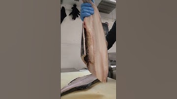 Fillet a Black Cod.This fish is very good for Miso glazed #fishfillet #misoblackcod#japanesecuisine