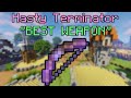 "Terminator is the BEST Weapon" (Hypixel Skyblock)
