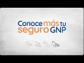 ¿Cómo hacer uso de tu Seguro de Hogar GNP en caso de afectación por un fenómeno hidrometeorológico?