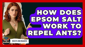 How Does Epsom Salt Work To Repel Ants? - Insects and Invaders