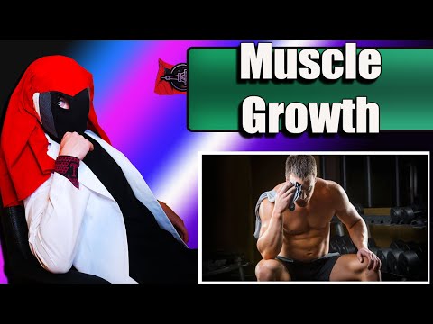 NoFap Muscle Growth?