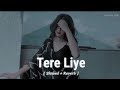 Tere Liye Slowed Reverb Song- PRINCE |Atif Aslam, Shreya Ghoshal .jannatein sajaayi maine tere liye🎧