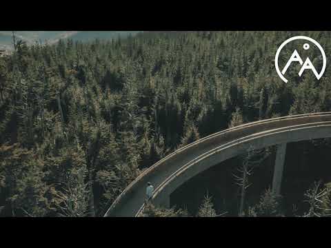 In Memoriam - The Oh Hellos · aaMusic