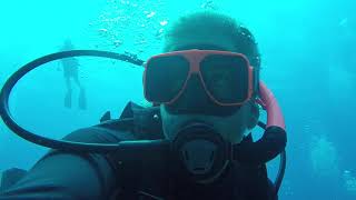 Diving with Solagua Vida