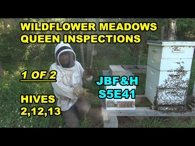 The Solar Wax Melter - Wildflower Meadows