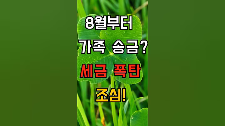 8월주터 가족송금? 세금 폭탄 조심! #시니어#시니어정보#ai#국세청#8월