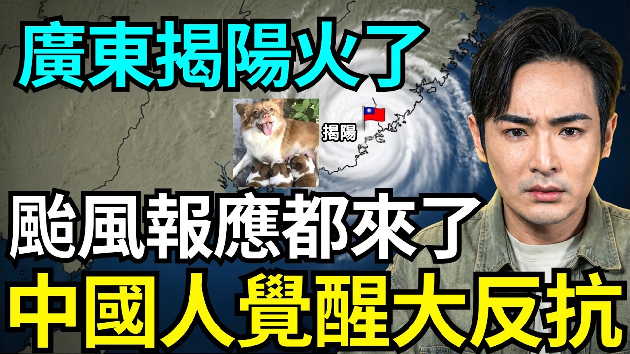 中國人全面串聯覺醒！揭陽旺旺案點燃起義，連小粉紅都哭了，颱風直撲廣東是報應，央視痛嗆愛狗人士都是騙子？